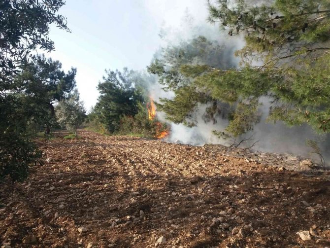 Temizlik Amaçlı Yakılan Ateşler Yangınlara Neden Oluyor