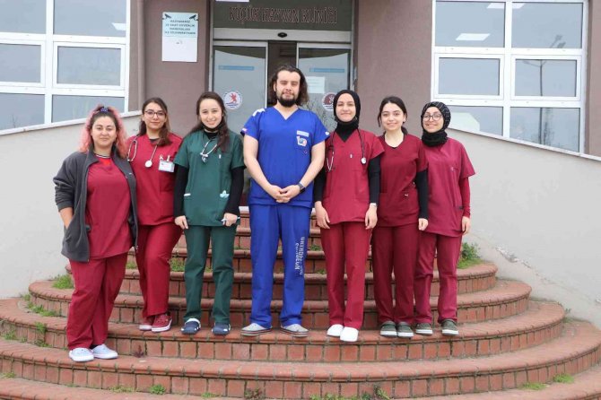 4 Binin Üzerinde Hasta Hayvan Şifa Buldu