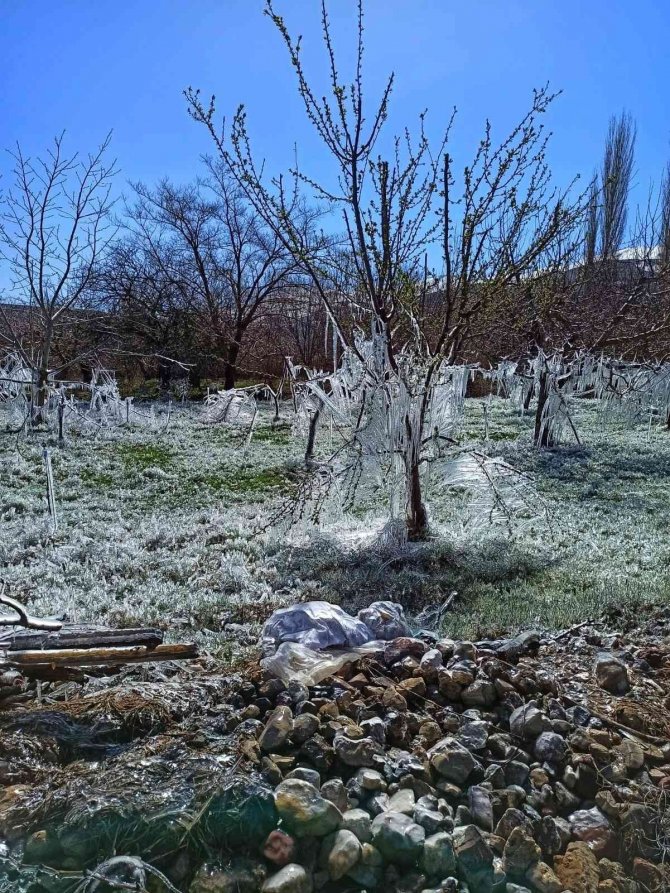 Kayısı Bahçelerindeki Donun Boyutu Kameralara Yansıdı