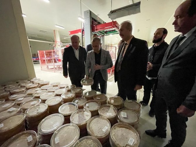 Ordu’dan 3 Avrupa Ülkesine Bal İhracatı