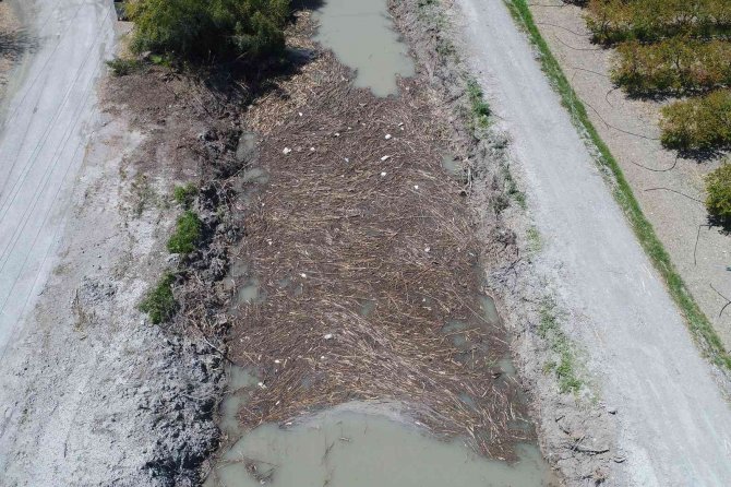 Zirai Kanal Temizliğinde Atıklar Dalyan Kanallarına Aktı