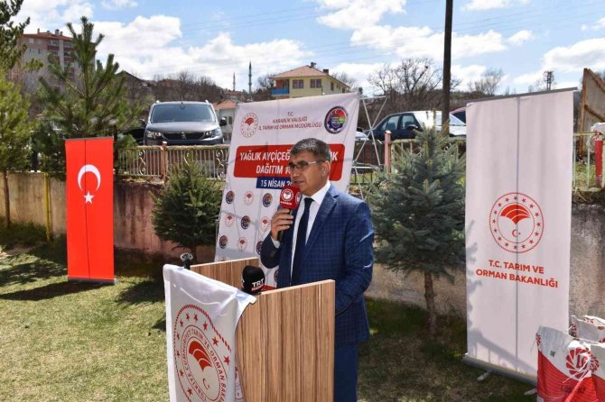 Karabük’te 3 Bin Dekar Alanda Ayçiçeği Ekilecek