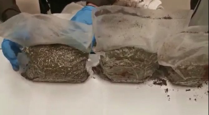 Şişli’de Dev Uyuşturucu Operasyonu: Bekçiler Yarım Milyon Değerinde Bonzai Ele Geçirdi