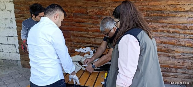 Tedavisi Tamamlanan Leylek Doğaya Bırakıldı