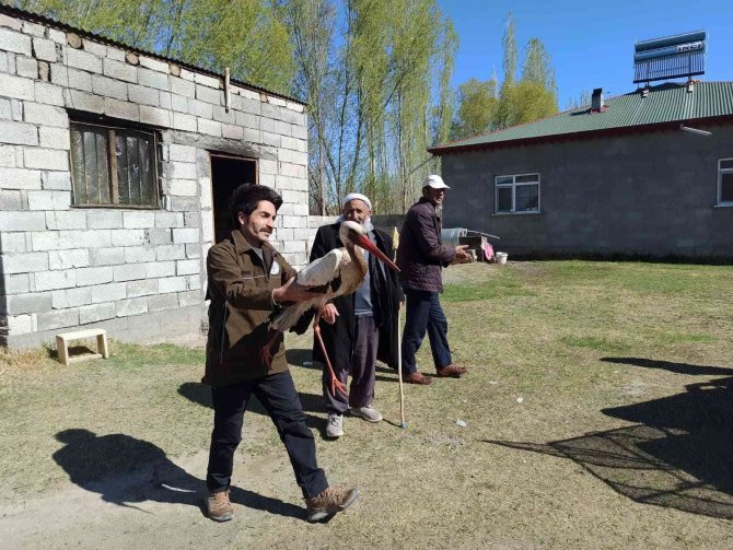 Tedavisi Tamamlanan Leylek Doğaya Bırakıldı