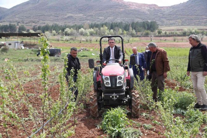 Vali Balcı Tarla Sürüp, Çapa Yaptı