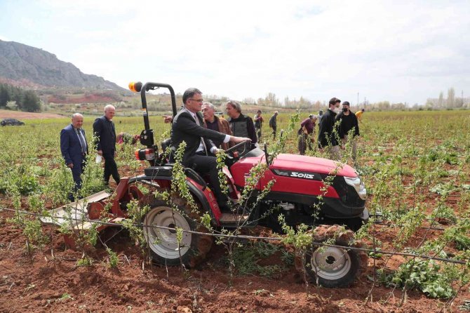 Vali Balcı Tarla Sürüp, Çapa Yaptı