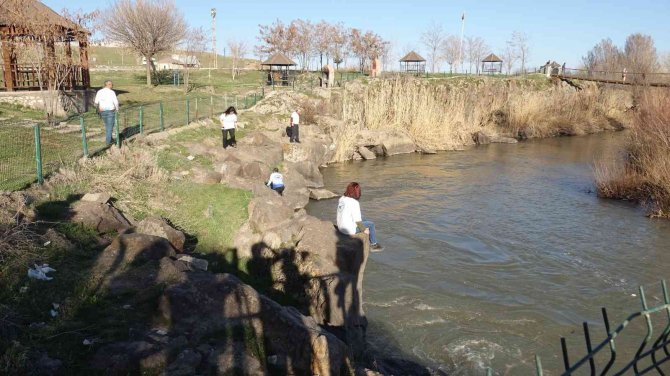 Van Gölü Aktivistleri, İnci Kefali Nöbeti Tuttu