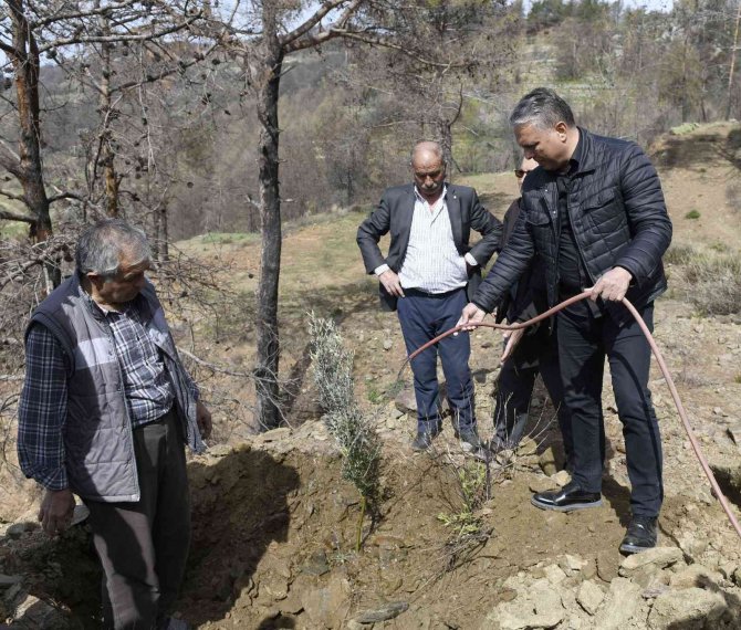 Yangından Etkilenen Bölgelere Fidan Dağıtımında Duygu Dolu Anlar