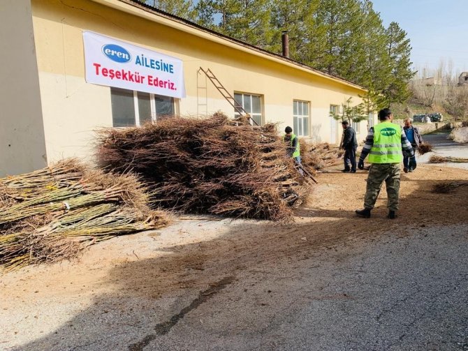 Bitlis’te 1 Milyon Meyve Fidanı Projesinin 2. Etabı Devam Ediyor