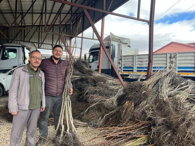 Bitlis’te 1 Milyon Meyve Fidanı Projesinin 2. Etabı Devam Ediyor