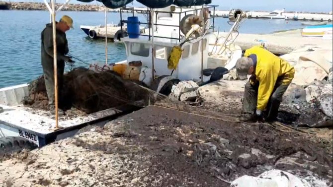 Saros Körfezi’nde Balıkçıları Tedirgin Eden Görüntü