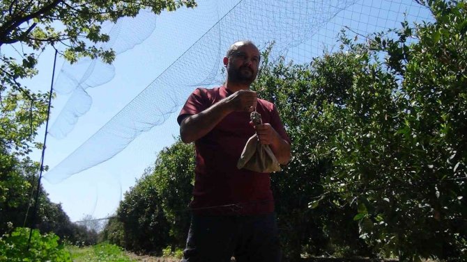 Hollandalı Kuş Bilimciler Antalya’da Gönüllü Kuş Halkalıyor