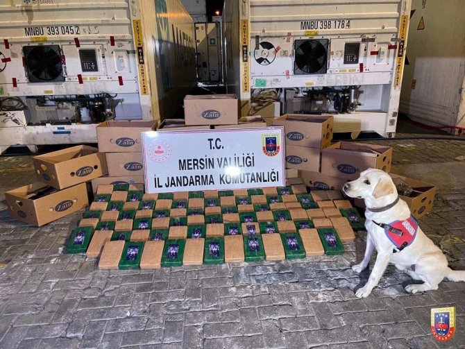 Jandarma Uyuşturucuya Geçit Vermedi