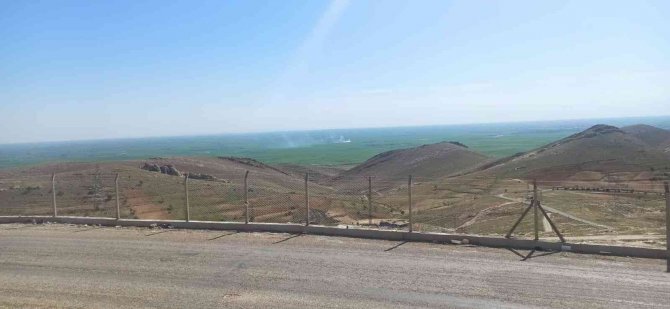 Mardin’de Sokak Hayvanları İçin Doğal Yaşam Alanı