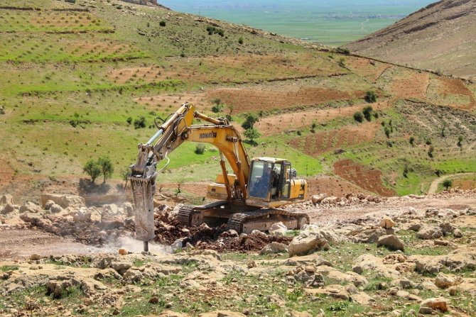 Mardin’de Sokak Hayvanları İçin Doğal Yaşam Alanı