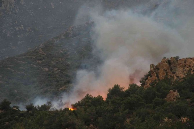 Bodrum’da Orman Yangını