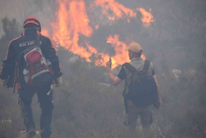 Bodrum’daki Orman Yangını 6 Saat Sonunda Kontrol Altına Alındı