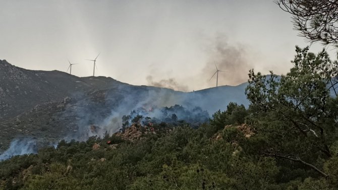 Bodrum’da Yeniden Başlayan Orman Yangını Kontrol Altına Alındı