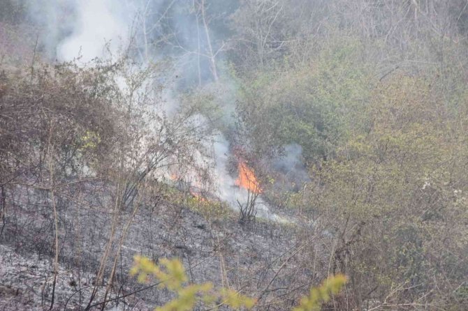 Sinop’ta Çıkan Yangının Büyümesini Polis Önledi