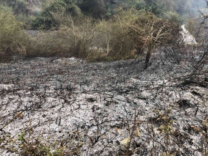 Sinop’ta Çıkan Yangının Büyümesini Polis Önledi