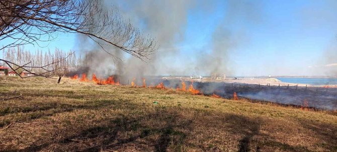 Onlarca Kuş Türüne Ev Sahipliği Yapan Sazlık Alanda Korkutan Yangın