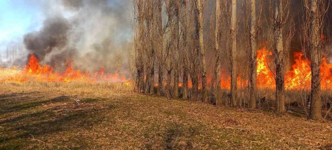 Onlarca Kuş Türüne Ev Sahipliği Yapan Sazlık Alanda Korkutan Yangın
