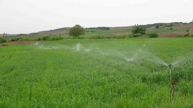 Kuraklık Buğday Üreticisine 30 Yıl Sonra Tarla Sulattı