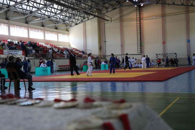 Anali̇g Judo Yarı Final Müsabakaları Erzincan’da Yapıldı