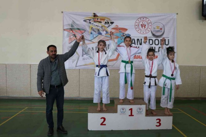 Anali̇g Judo Yarı Final Müsabakaları Erzincan’da Yapıldı