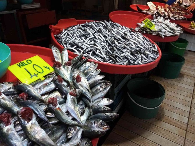 Balık Avlama Yasağı İle Balıkhane Amatör Balıkçılara Kaldı