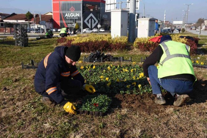 Düzce Belediyesi Park Bahçeler İlk Çeyreği Dolu Dolu Geçirdi