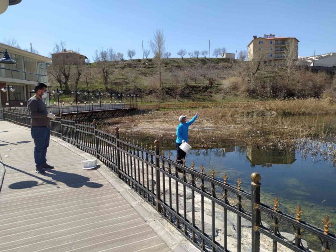 Hakkari’de İlaçlama Çalışması Başlatıldı