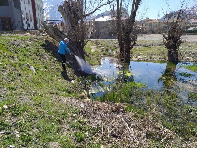 Hakkari’de İlaçlama Çalışması Başlatıldı