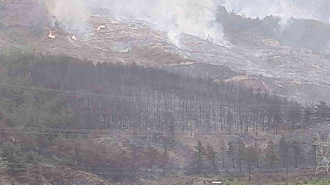 Hatay’da Orman Yangını İki Noktada Devam Ediyor