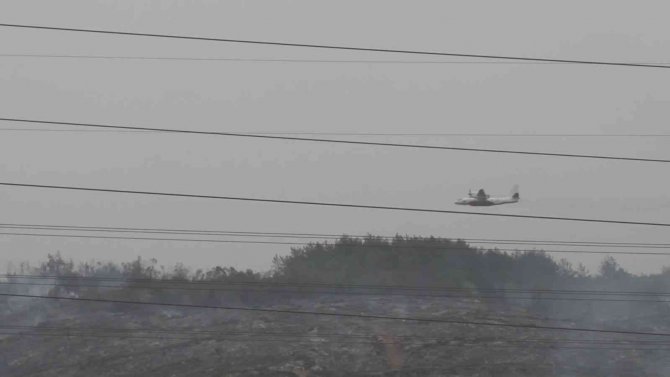 Hatay’da Orman Yangını Kontrol Altına Alındı