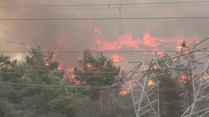 Hatay’da Orman Yangını Kontrol Altına Alındı