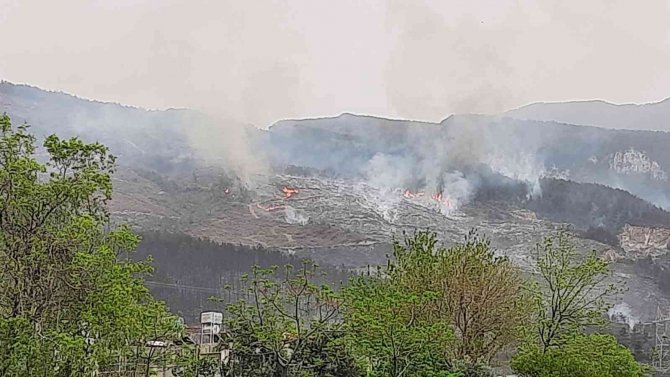 Hatay’da Orman Yangını İki Noktada Devam Ediyor