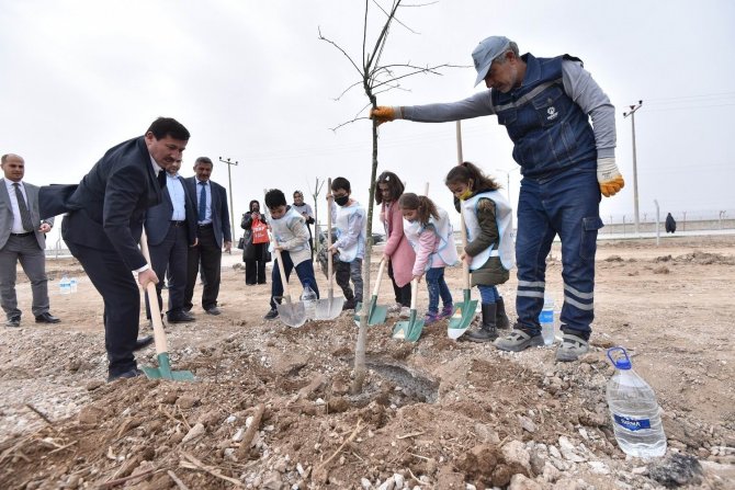 Karatay Belediyesinden Ağaç Dikme Etkinliği