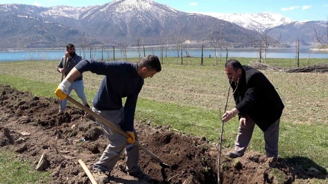 Tatvan’da Meyve Fidanları Toprakla Buluştu