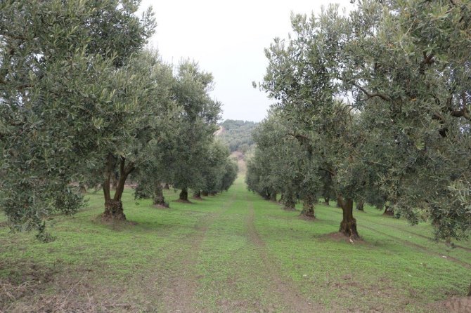 Marmarabirlik’ten Üretime Destek Projesi