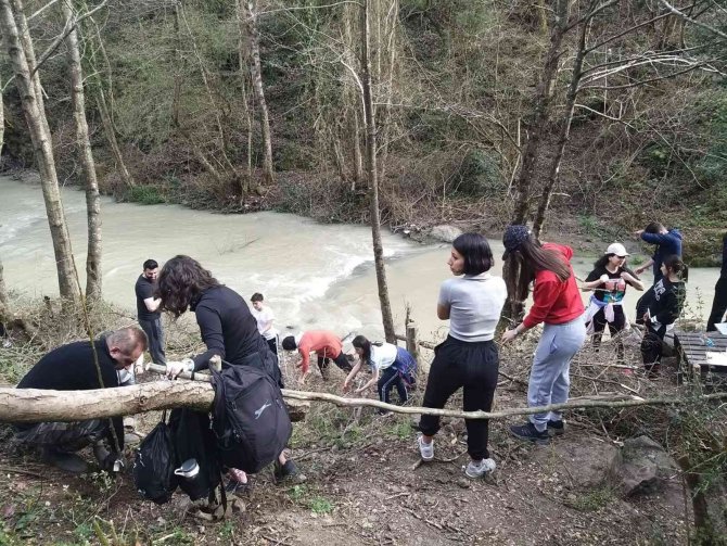 Öğrenciler Meyve Fidanı Dikti