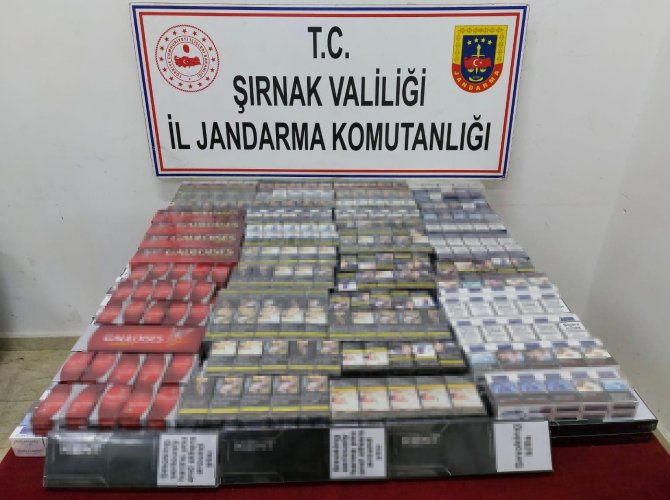 Şırnak’ta Kaçakçılık Ve Asayiş Operasyonu: 72 Gözaltı