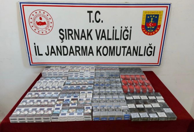 Şırnak’ta Kaçakçılık Ve Asayiş Operasyonu: 72 Gözaltı
