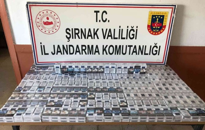Şırnak’ta Kaçakçılık Ve Asayiş Operasyonu: 72 Gözaltı