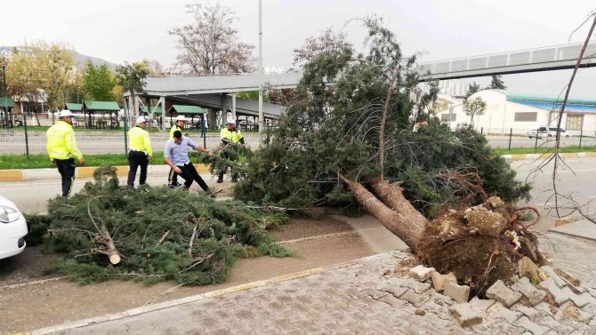 Tokat’ta Fırtına Hayatı Olumsuz Etkiledi