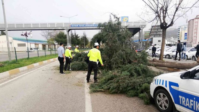 Tokat’ta Fırtına Hayatı Olumsuz Etkiledi