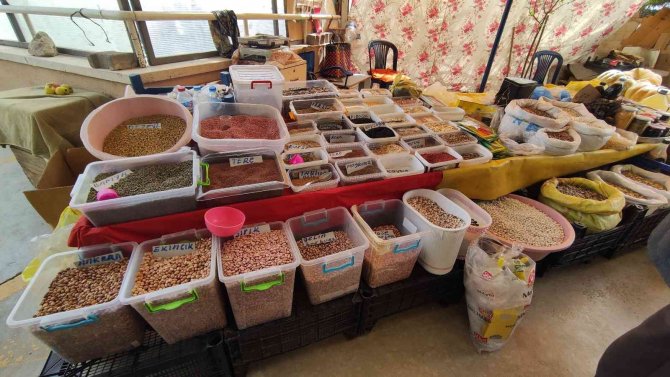 Ata Tohumları Satarak Geçimini Sağlıyor