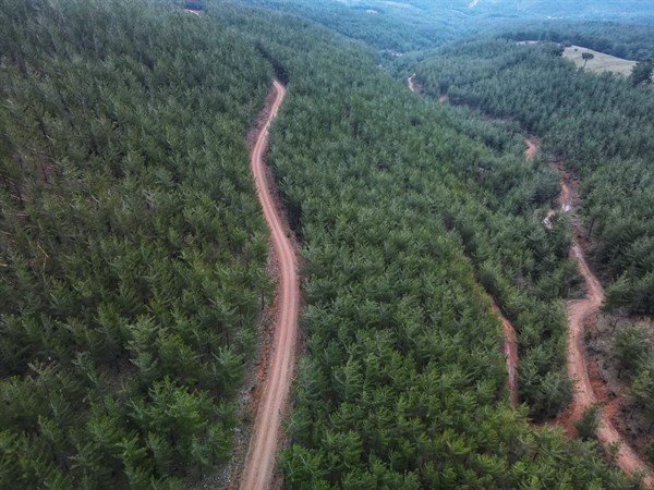 Karaisalı’da Yangın Emniyet Yolları Ve Şeritleri Yapıldı