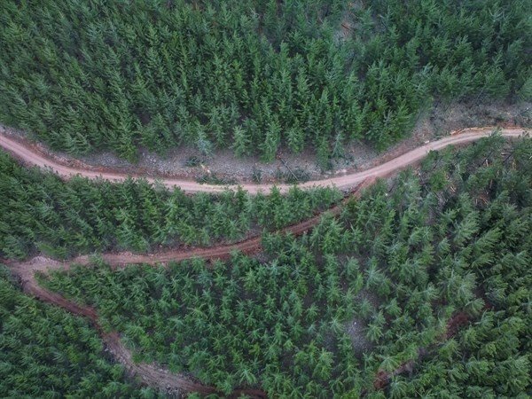 Karaisalı’da Yangın Emniyet Yolları Ve Şeritleri Yapıldı
